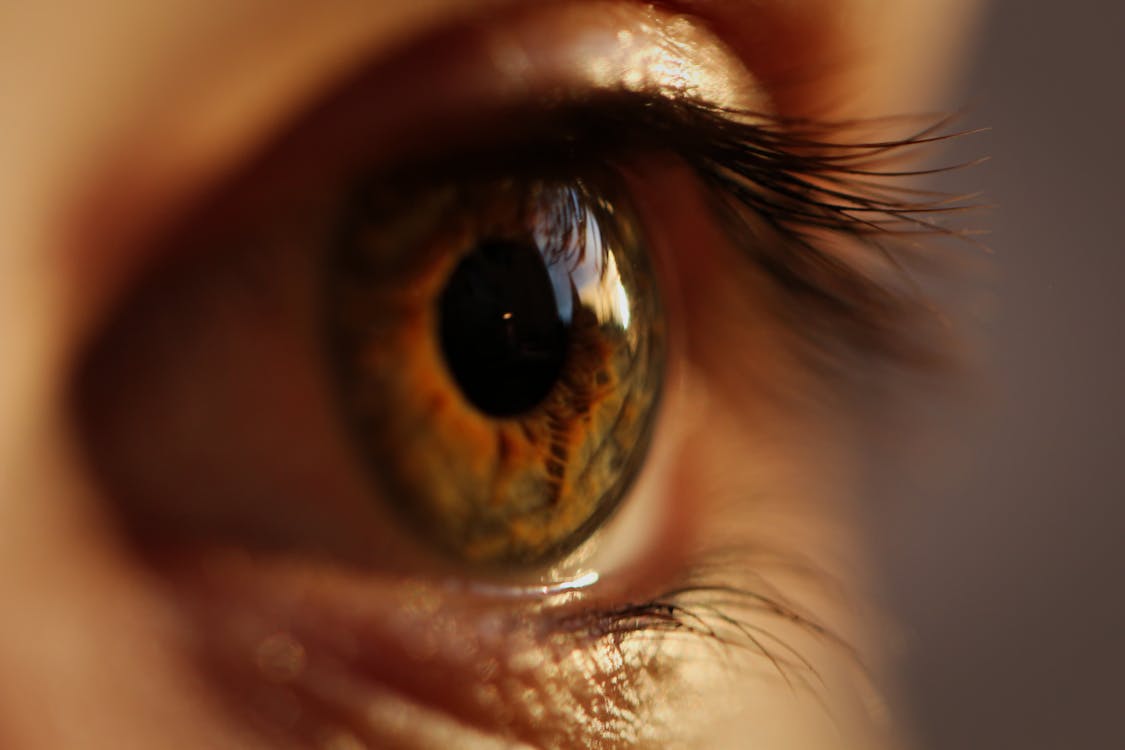 Vorderabschnitt des menschlichen Auges mit sichtbarer Iris, Pupille und der transparenten Hornhaut im Zentrum